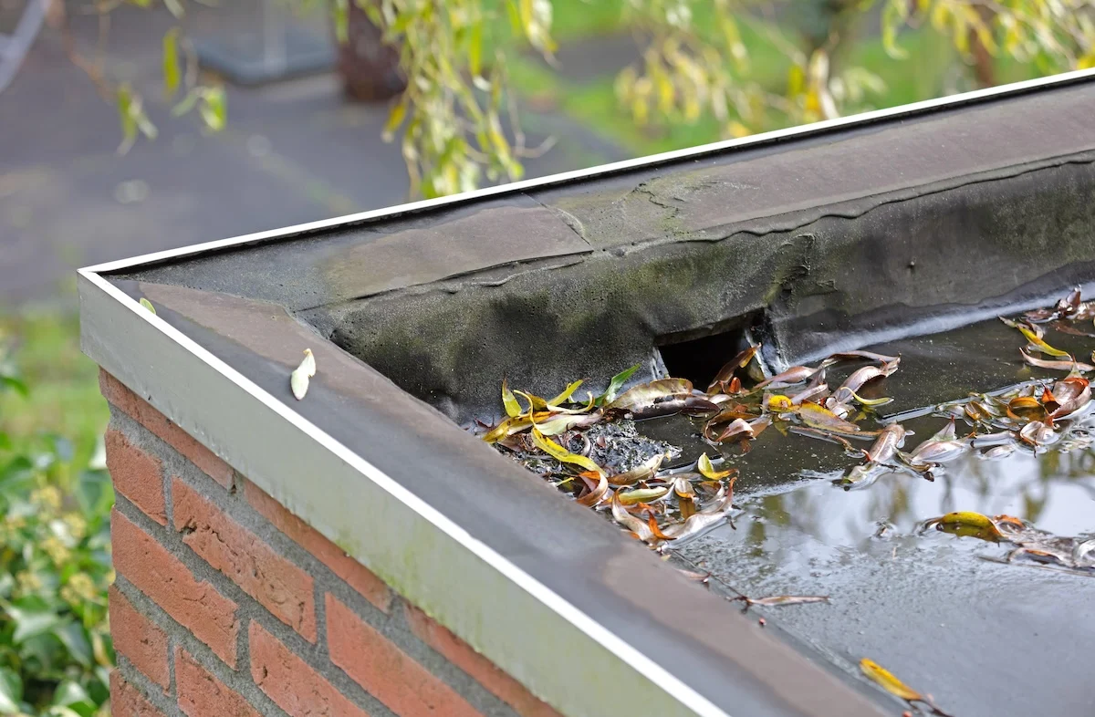 Roof Drains & Scuppers